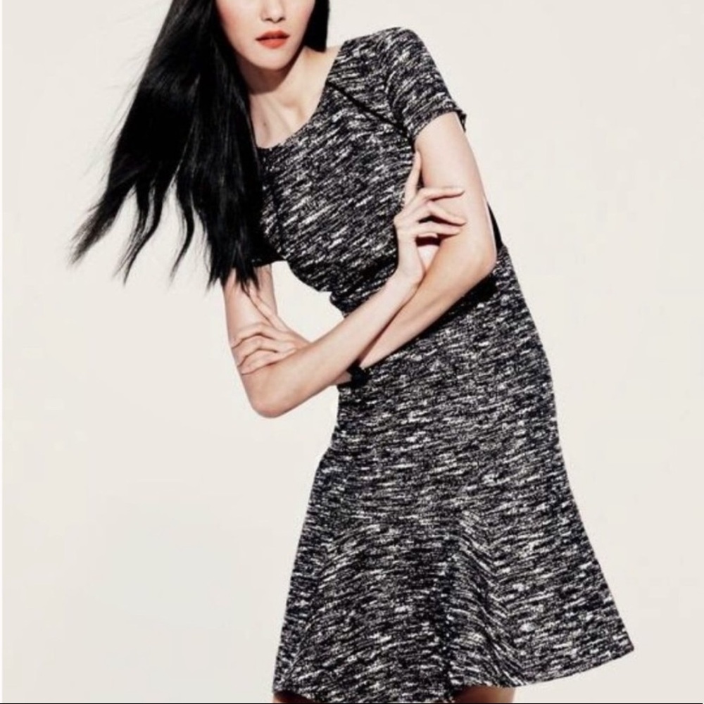 J. Crew tweed A-line short sleeved dress. Size 4